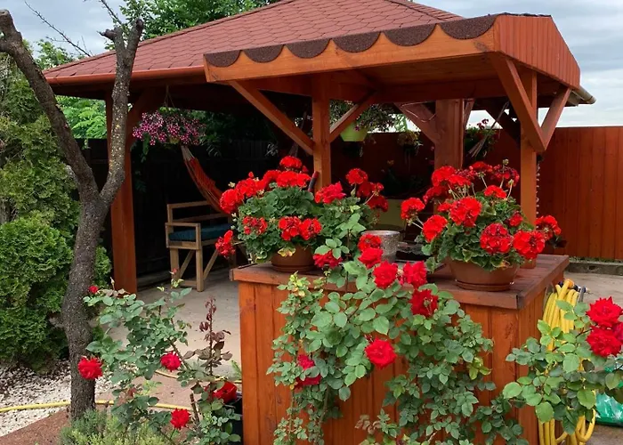 Bed & Breakfast Airport16 3*