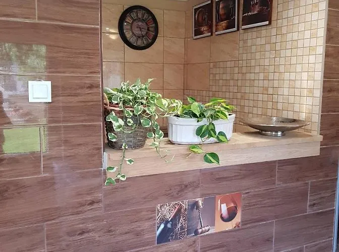 Airport16 3* Вечеш