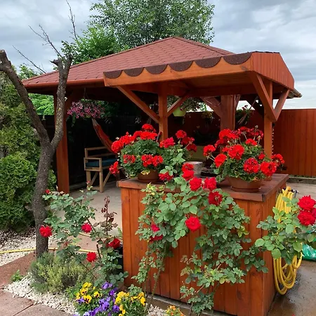 Bed & Breakfast Airport16 3*